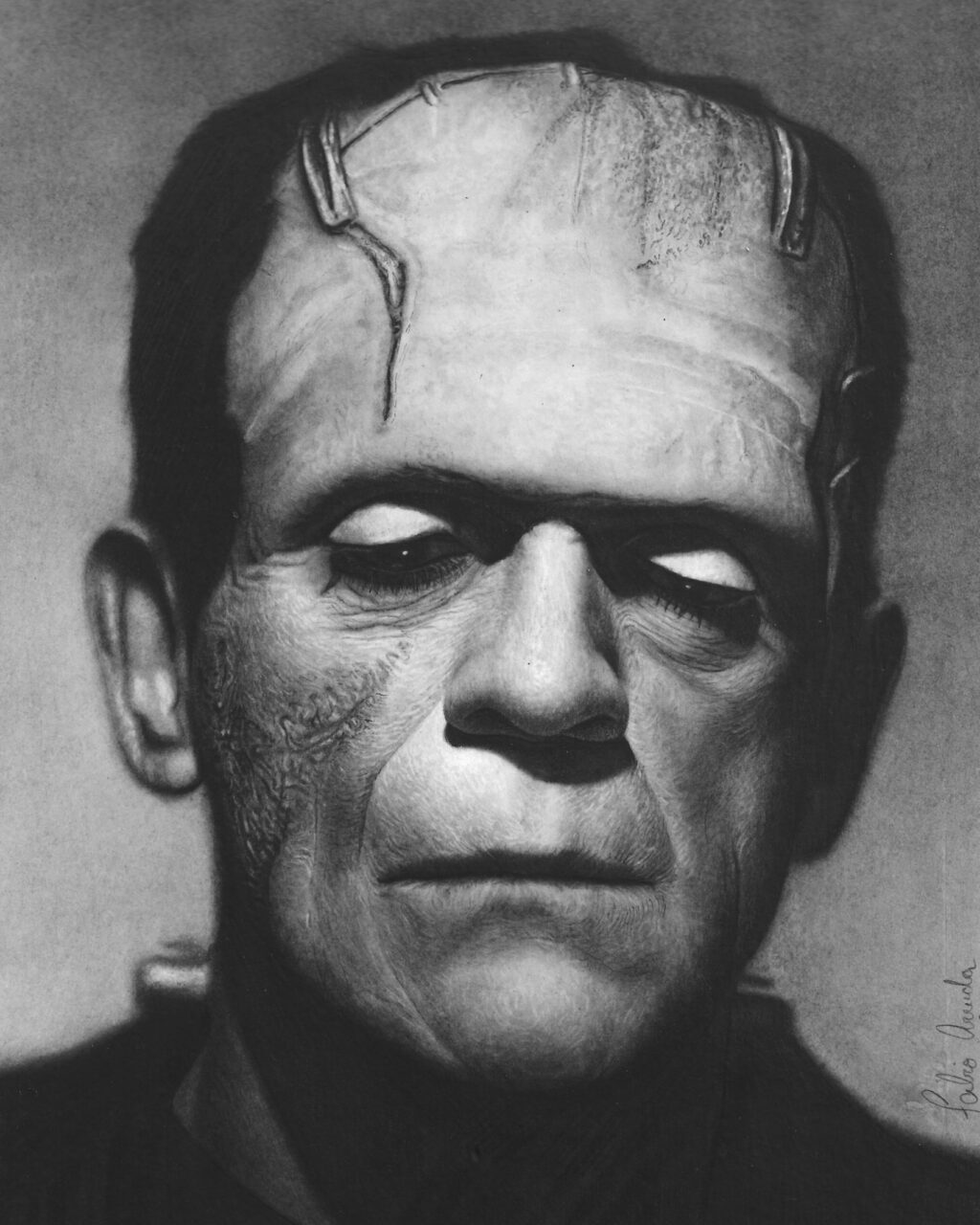 (SOLD OUT) The monster of Frankenstein 2022